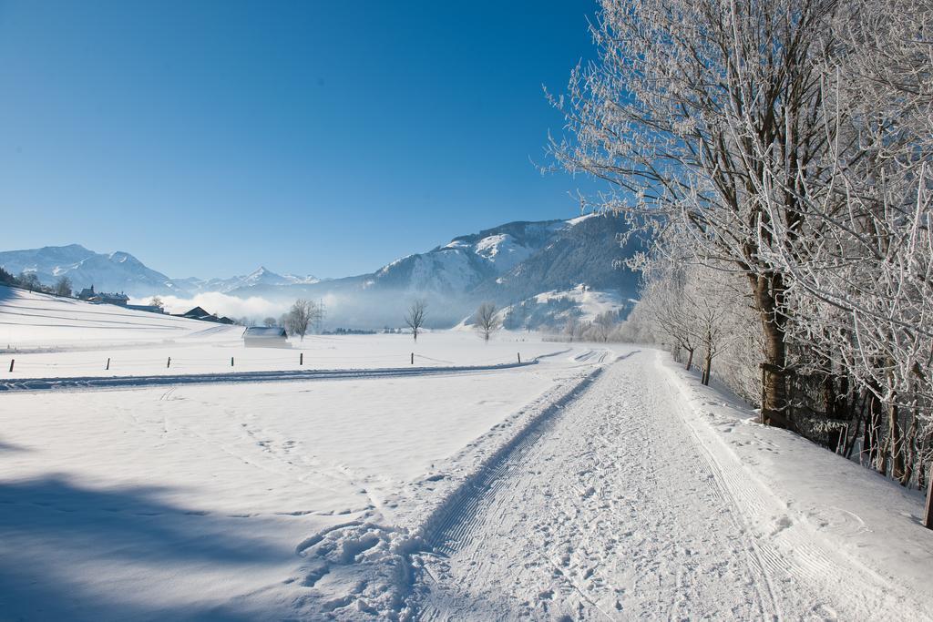 Chaletdorf Zellersee Maishofen Exterior photo